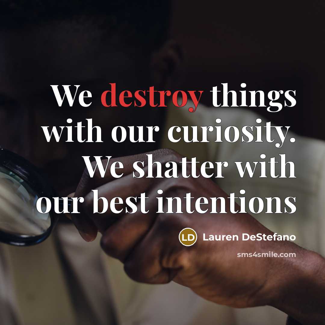 “We destroy things with our curiosity. We shatter with our best intentions” quote by Lauren DeStefano