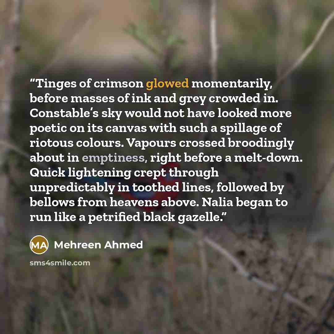 “Tinges of crimson glowed momentarily, before masses of ink and grey crowded in. Constable’s sky would not have looked more poetic on its canvas with such a spillage of riotous colours. Vapours crossed broodingly about in emptiness, right before a melt-down. Quick lightening crept through…” quote by Mehreen Ahmed