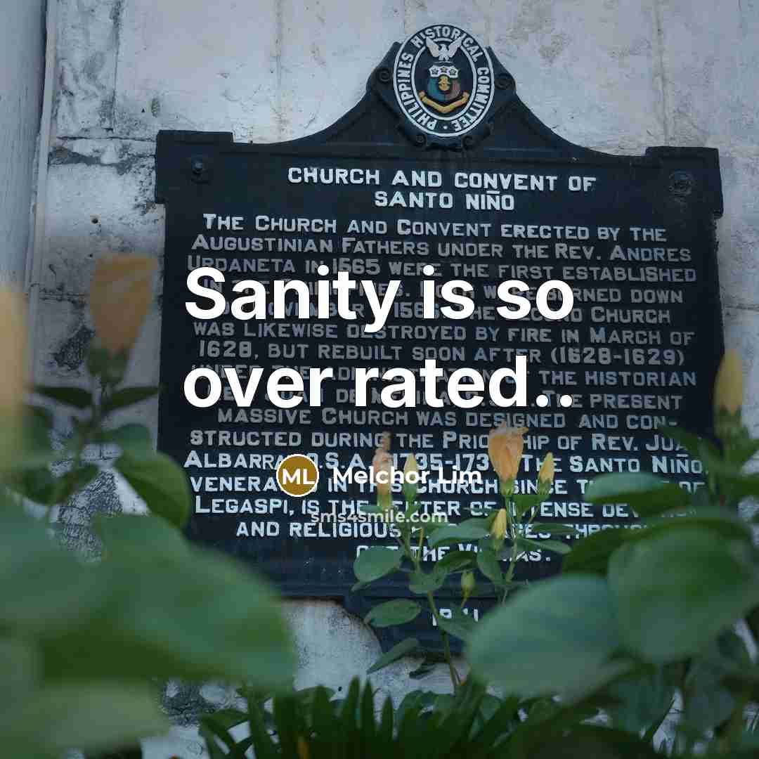 “Sanity is so over rated..…” quote by Melchor Lim