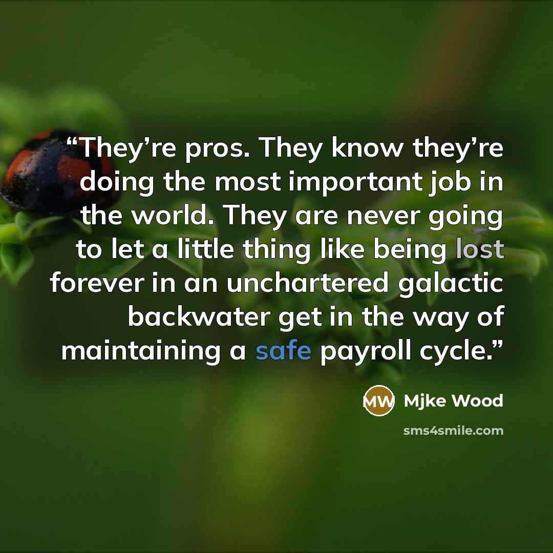 “They’re pros. They know they’re doing the most important job in the world. They are never going to let a little thing like being lost forever in an unchartered galactic backwater get in the way of maintaining a safe payroll cycle.” quote by Mjke Wood