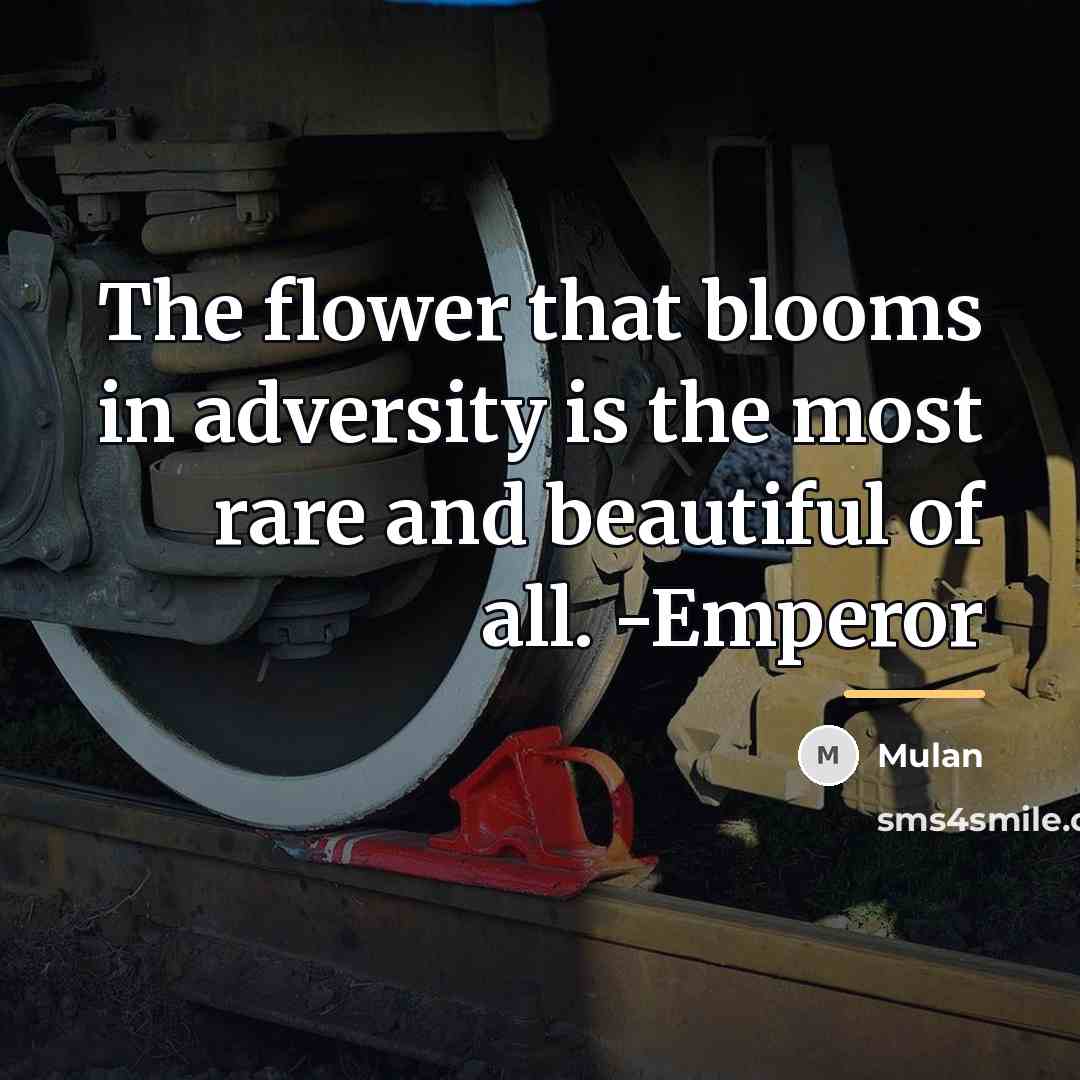 “The flower that blooms in adversity is the most rare…” quote by Mulan