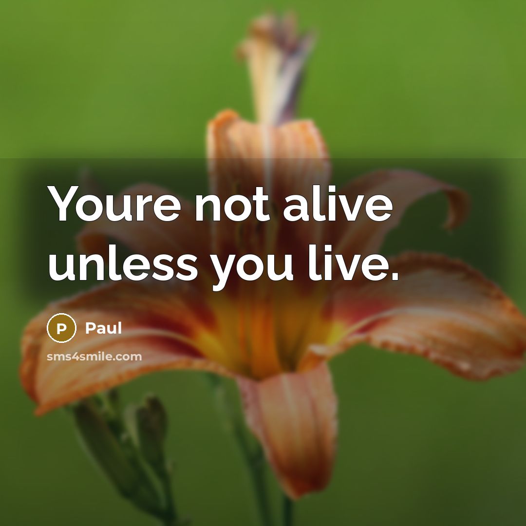 “Youre not alive unless you live.” quote by Paul