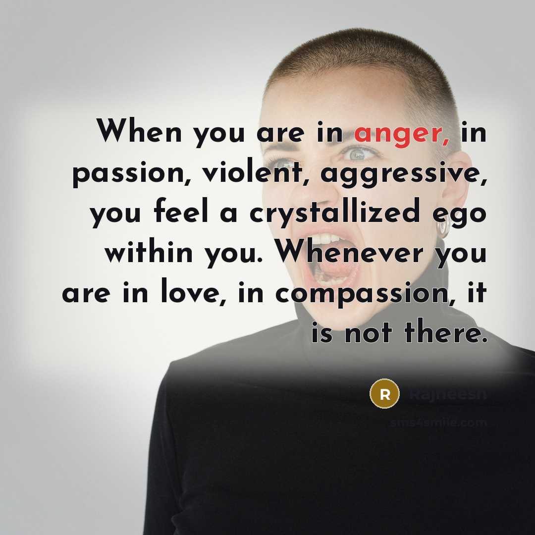 “When you are in anger, in passion, violent, aggressive, you…” quote by Rajneesh