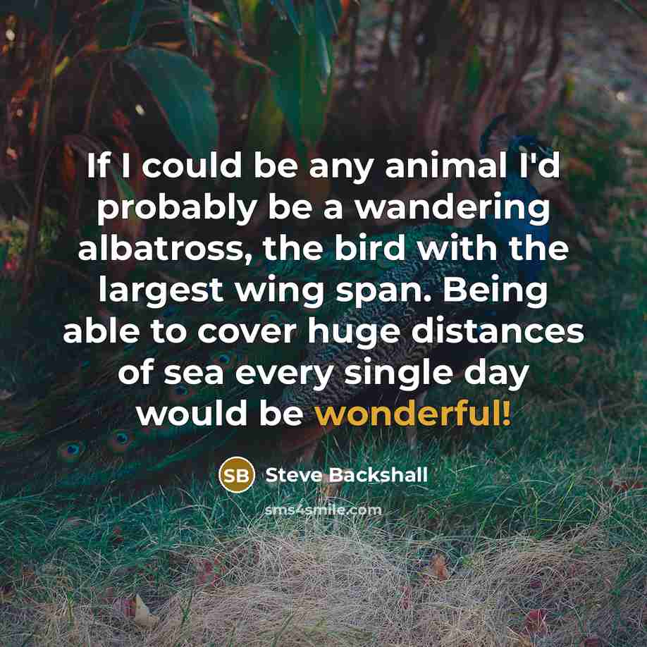 “If I could be any animal I'd probably be a…” quote by Steve Backshall