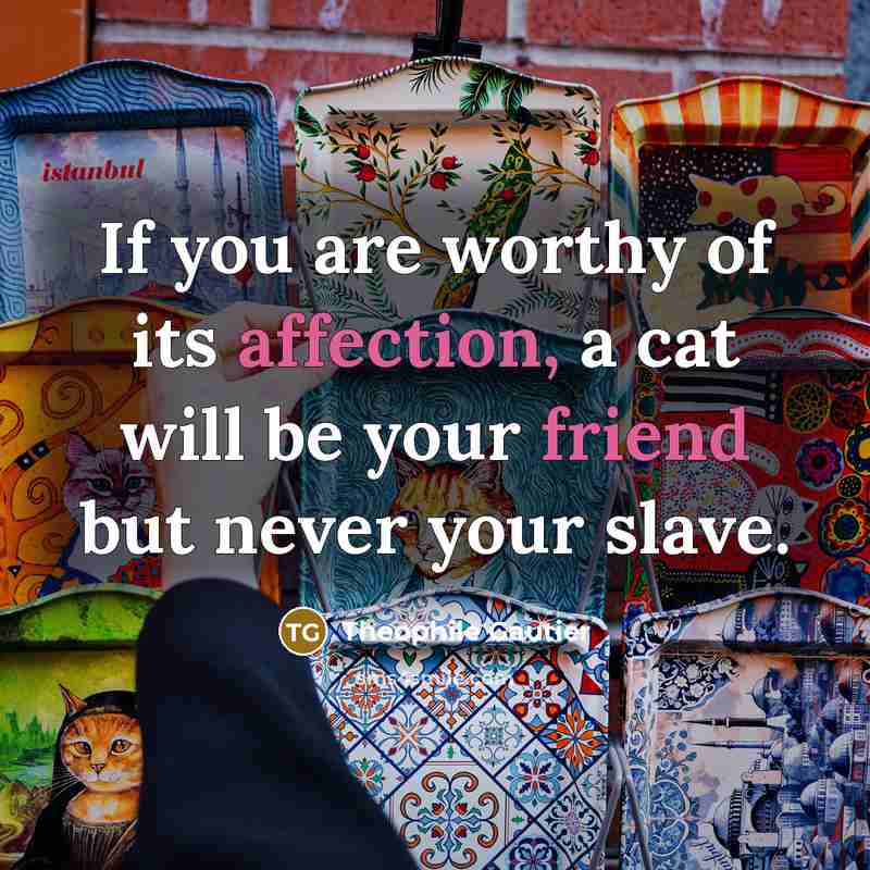 “If you are worthy of its affection, a cat will…” quote by Theophile Gautier