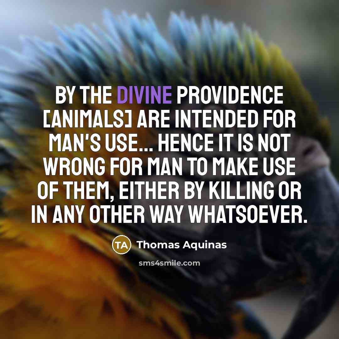 “By the divine providence [animals] are intended for man's use...…” quote by Thomas Aquinas