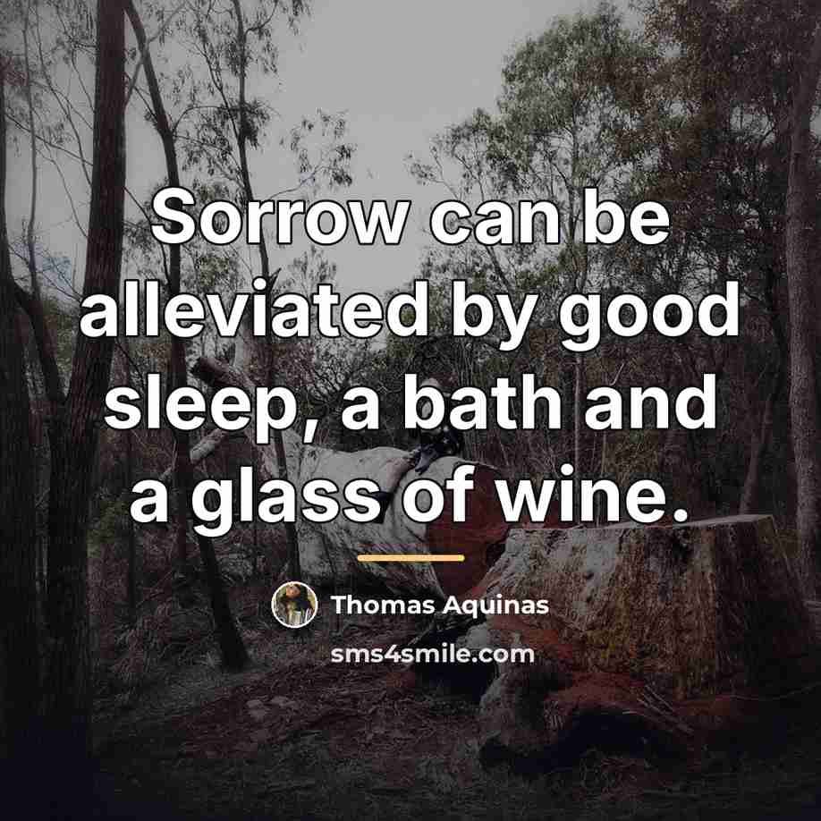 “Sorrow can be alleviated by good sleep, a bath and…” quote by Thomas Aquinas