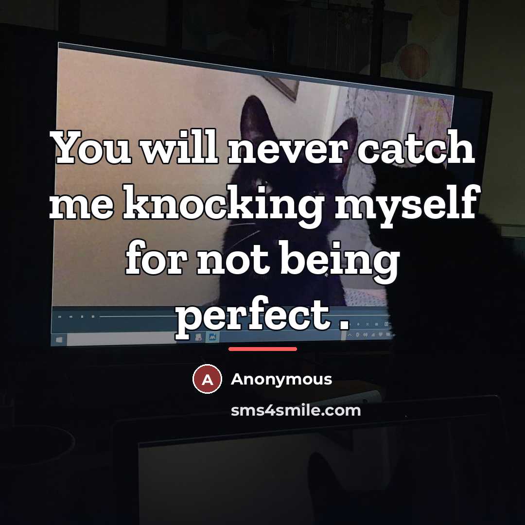 “You will never catch me knocking myself for not being…” quote by Anonymous