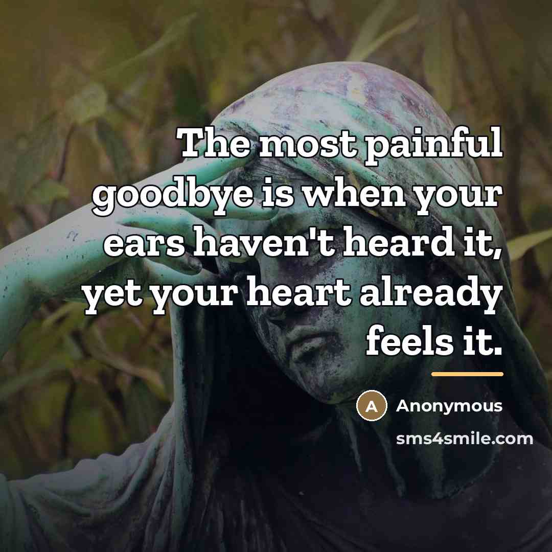 “The most painful goodbye is when your ears haven't heard…” quote by Anonymous
