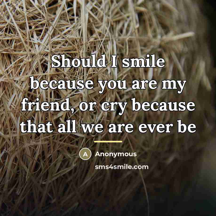 “Should I smile because you are my friend, or cry…” quote by Anonymous