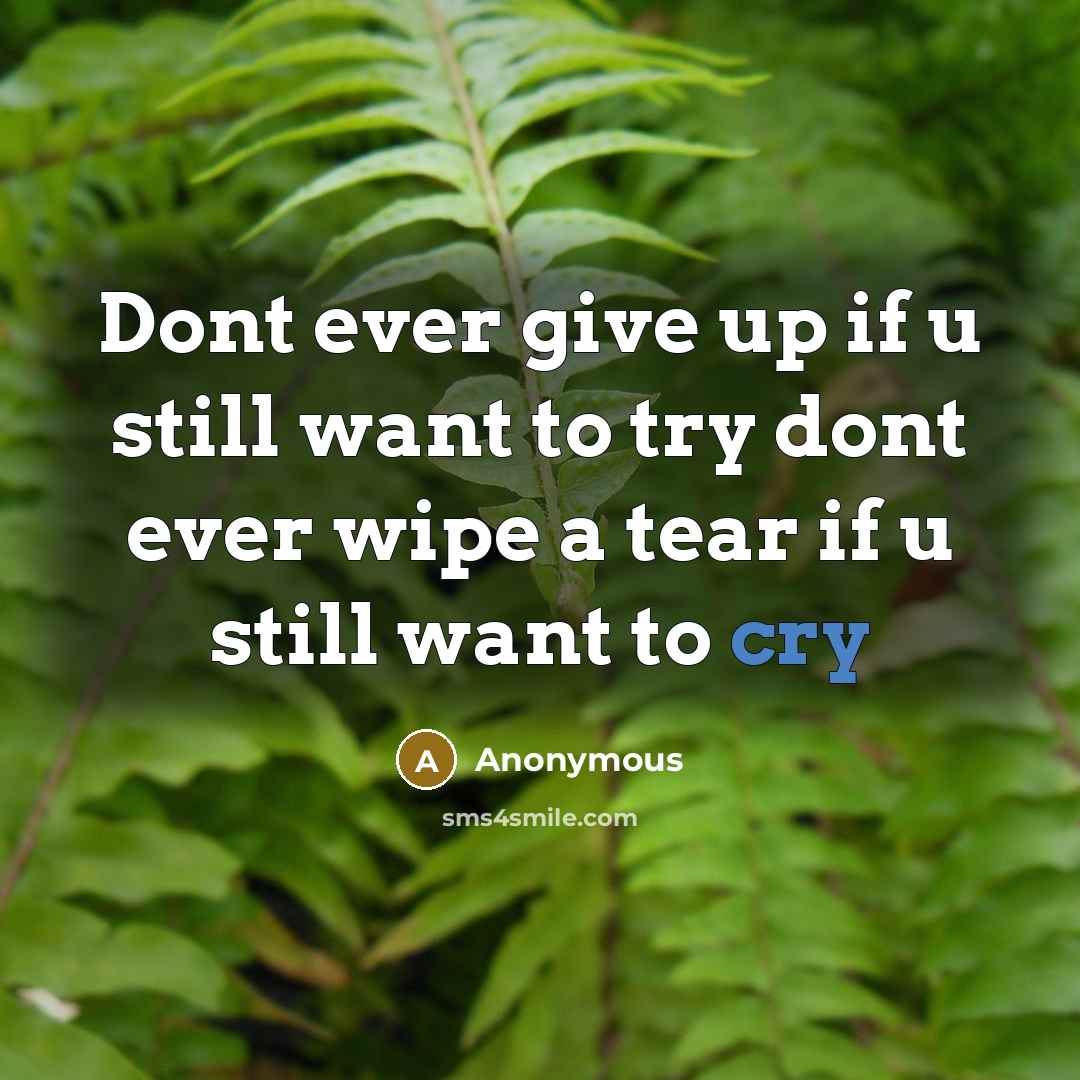 “Dont ever give up if u still want to try…” quote by Anonymous