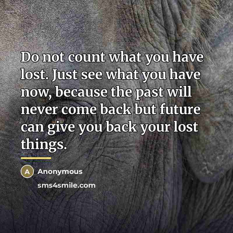“Do not count what you have lost. Just see what…” quote by Anonymous