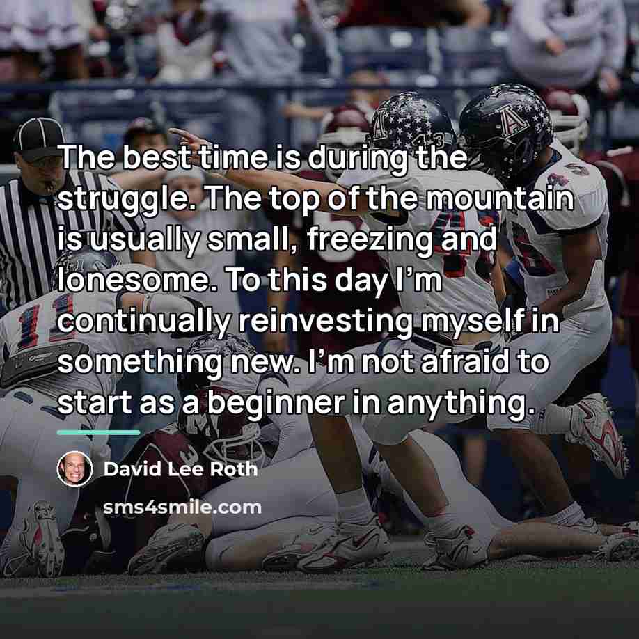 “The best time is during the struggle. The top of…” quote by David Lee Roth