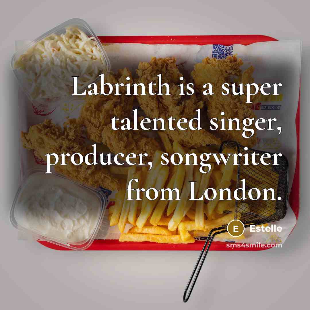 “Labrinth is a super talented singer, producer, songwriter from London.…” quote by Estelle