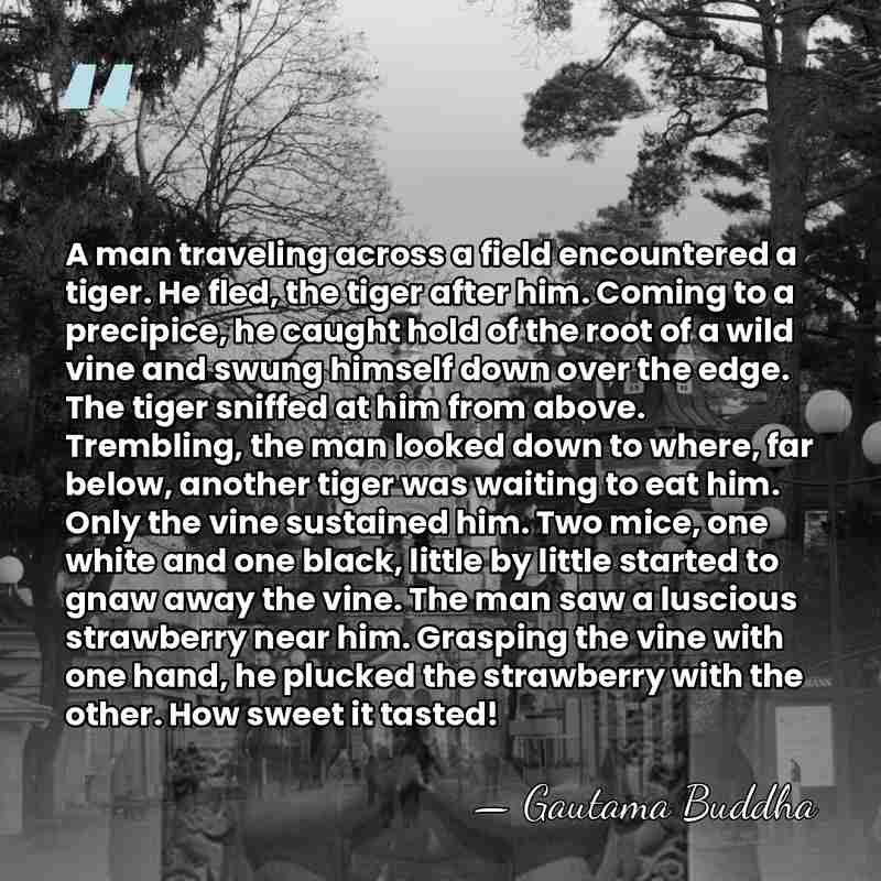 A man traveling across a field encountered a tiger. He fled, the&hellip; - Gautama Buddha