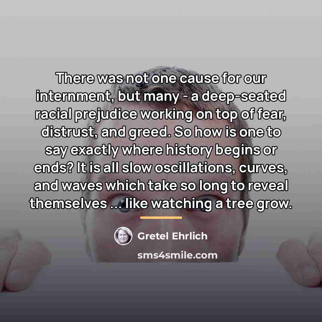 “There was not one cause for our internment, but many…” quote by Gretel Ehrlich