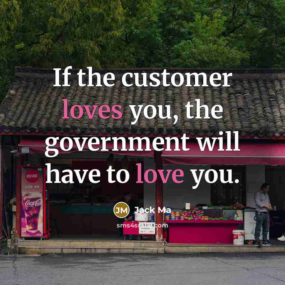 “If the customer loves you, the government will have to love you.” quote by Jack Ma