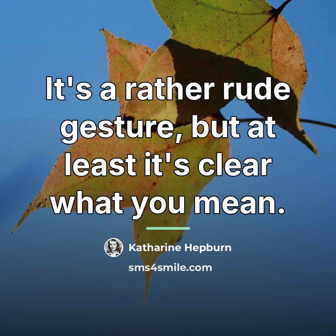 “It's a rather rude gesture, but at least it's clear…” quote by Katharine Hepburn