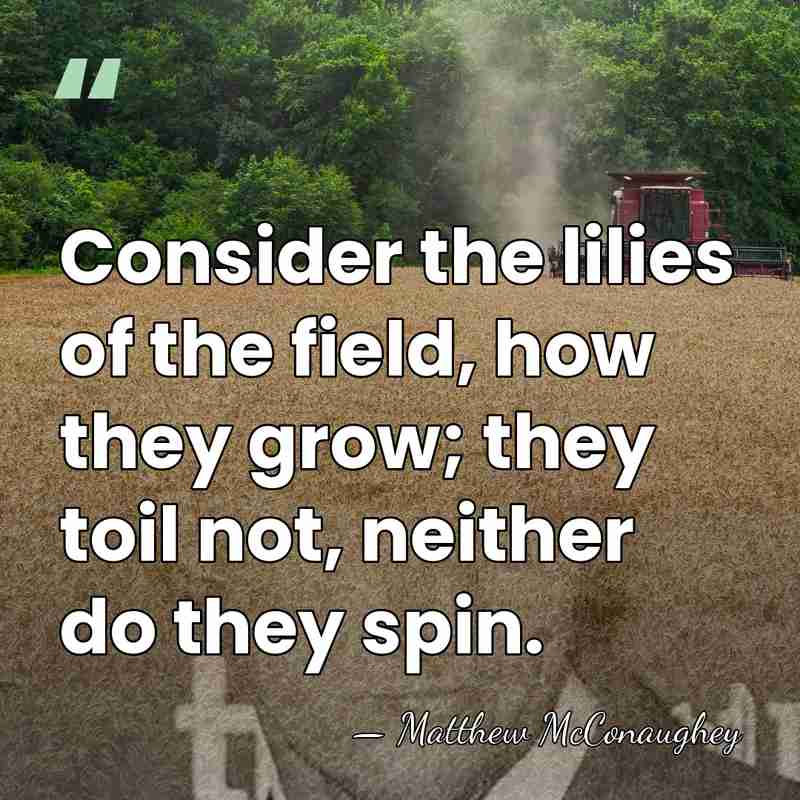 Consider the lilies of the field, how they grow; they toil not,&hellip; - Matthew McConaughey