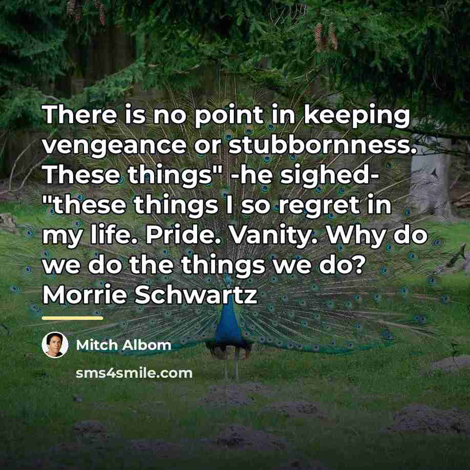 “There is no point in keeping vengeance or stubbornness. These…” quote by Mitch Albom