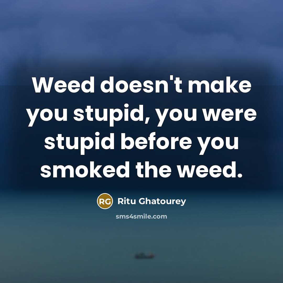 “Weed doesn't make you stupid, you were stupid before you…” quote by Ritu Ghatourey