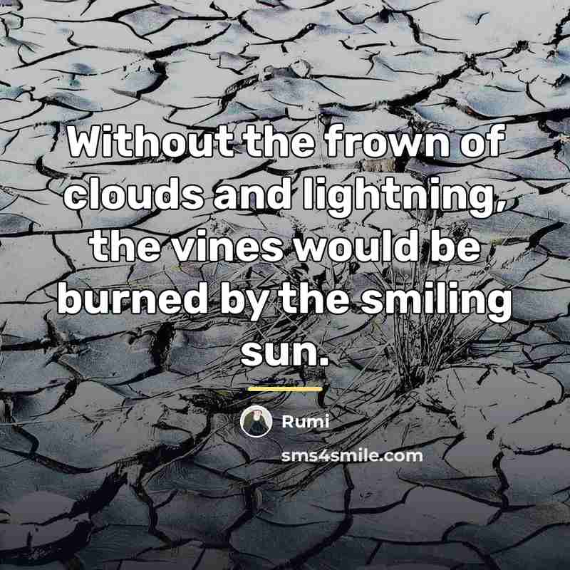“Without the frown of clouds and lightning, the vines would…” quote by Rumi