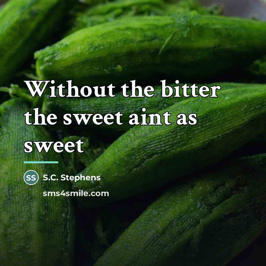 “Without the bitter the sweet aint as sweet…” quote by S.C. Stephens