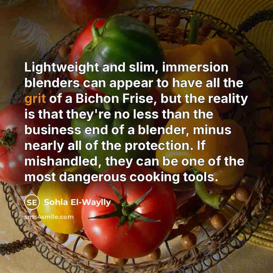 “Lightweight and slim, immersion blenders can appear to have all…” quote by Sohla El-Waylly
