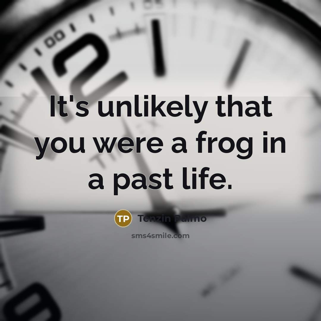 “It's unlikely that you were a frog in a past…” quote by Tenzin Palmo