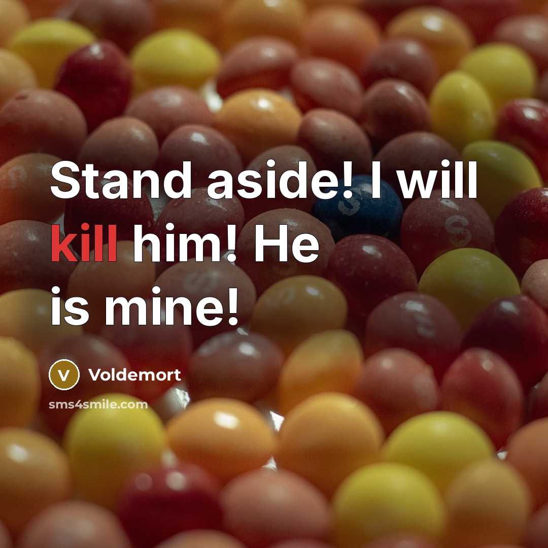 “Stand aside! I will kill him! He is mine!” quote by Voldemort