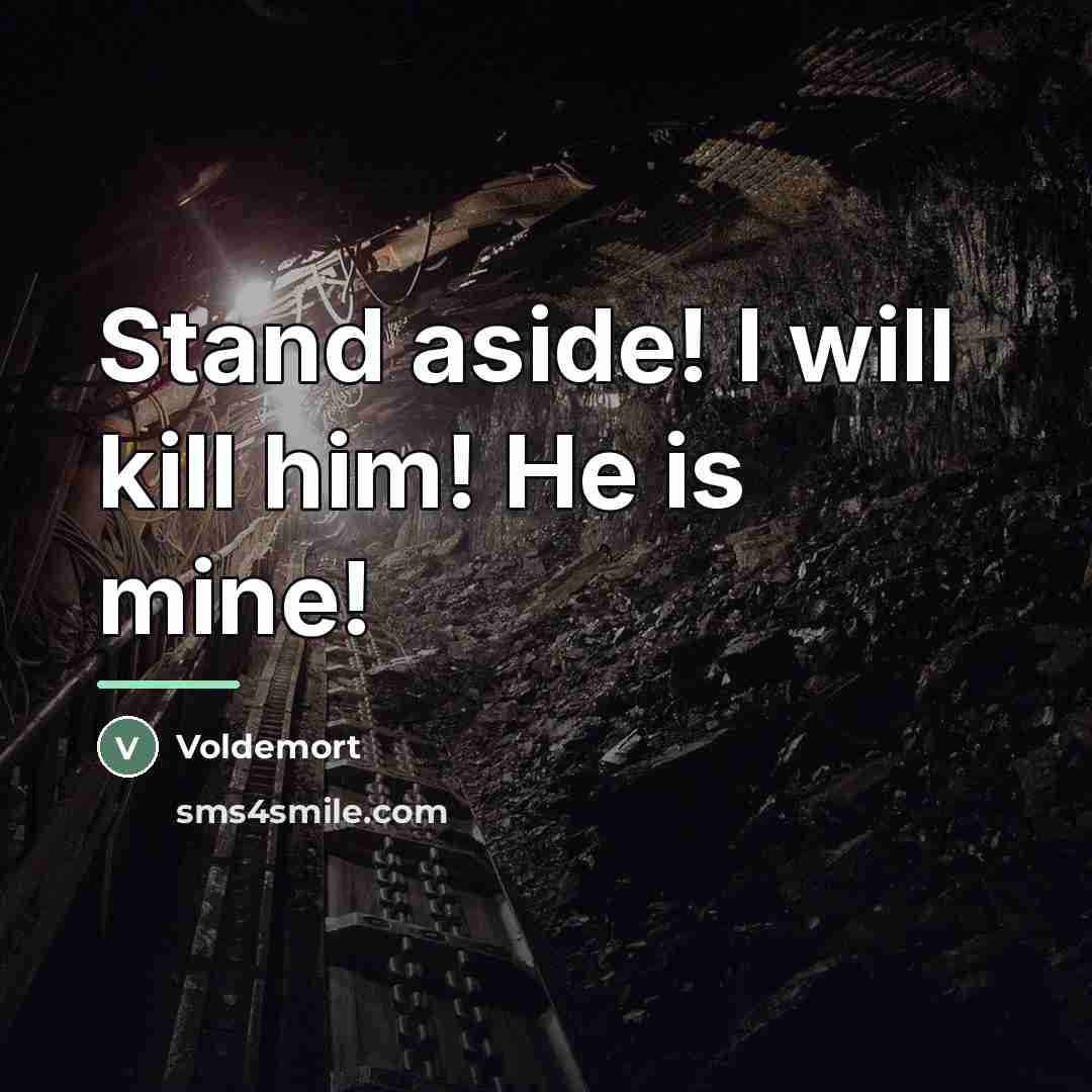 “Stand aside! I will kill him! He is mine!…” quote by Voldemort