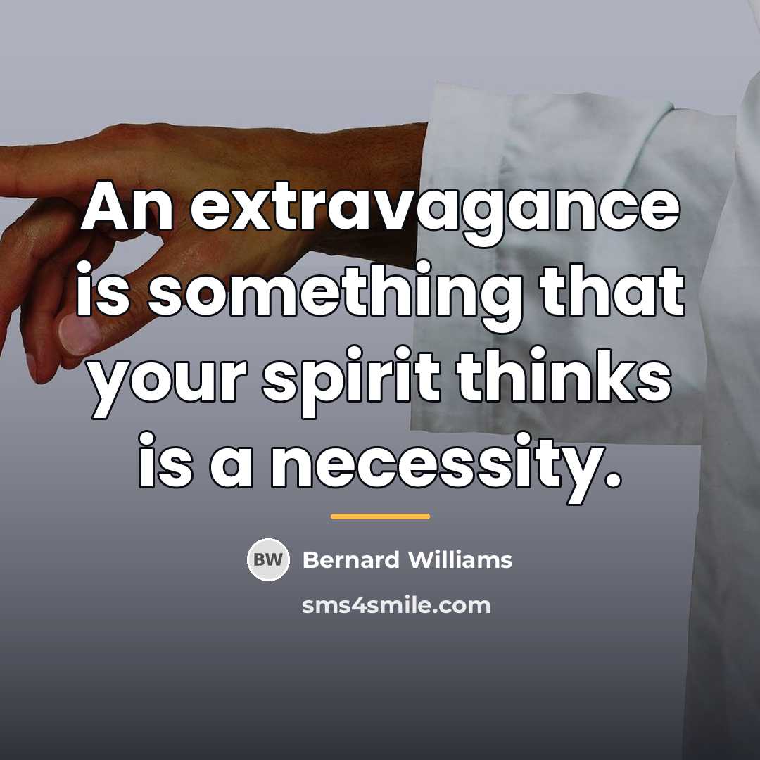 “An extravagance is something that your spirit thinks is a…” quote by Bernard Williams