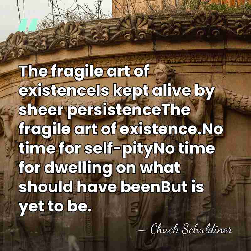 The fragile art of existenceIs kept alive by sheer persistenceThe fragile art&hellip; - Chuck Schuldiner