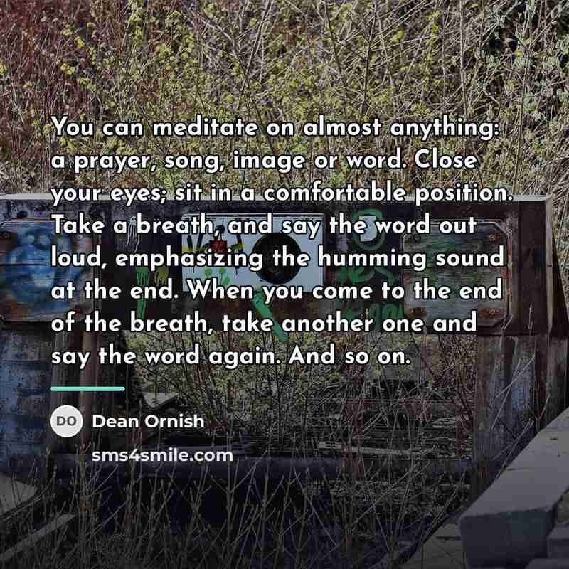“You can meditate on almost anything: a prayer, song, image…” quote by Dean Ornish