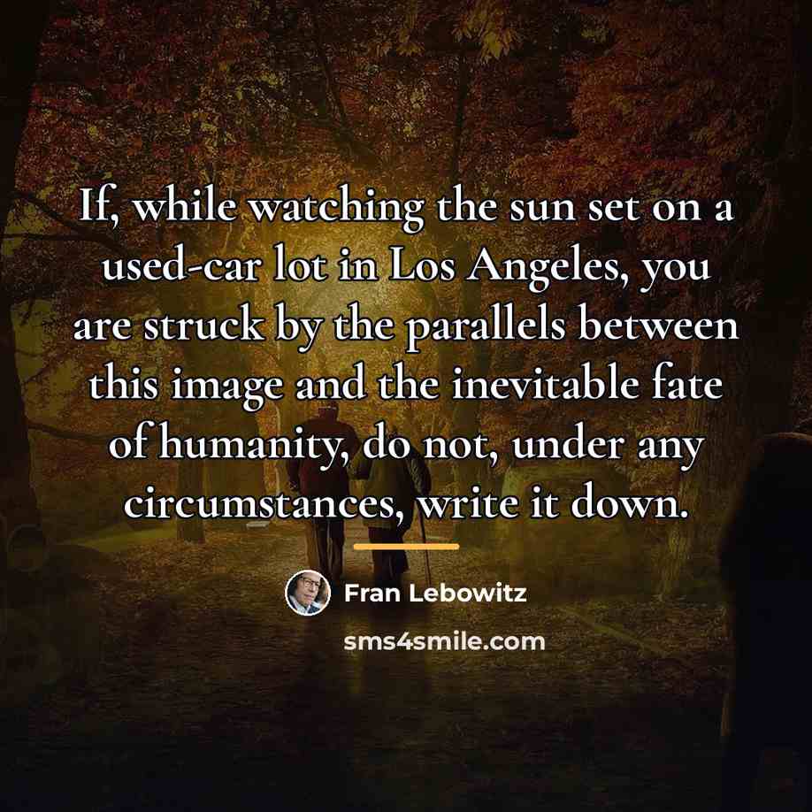 “If, while watching the sun set on a used-car lot…” quote by Fran Lebowitz