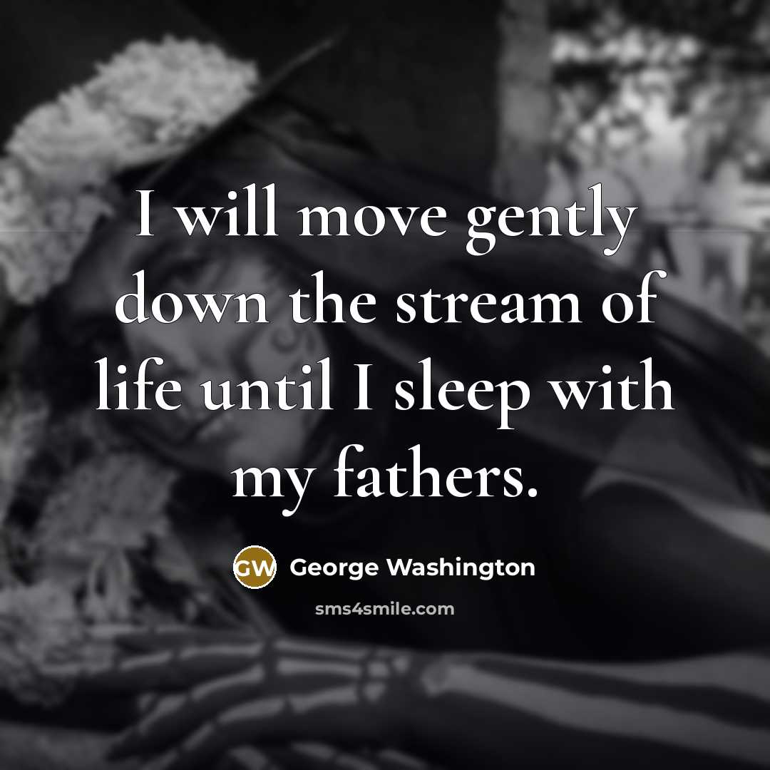 “I will move gently down the stream of life until…” quote by George Washington