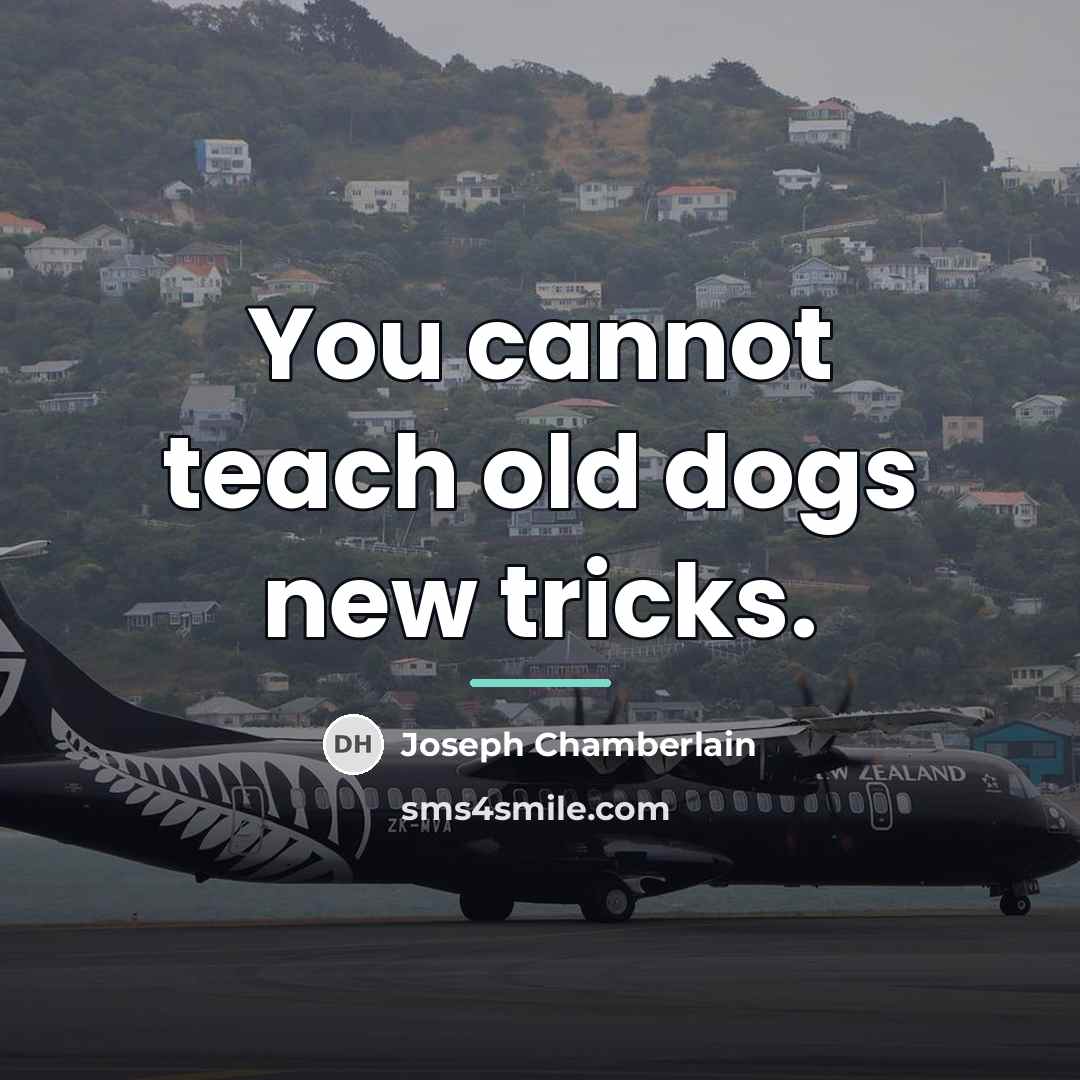 “You cannot teach old dogs new tricks.…” quote by Joseph Chamberlain