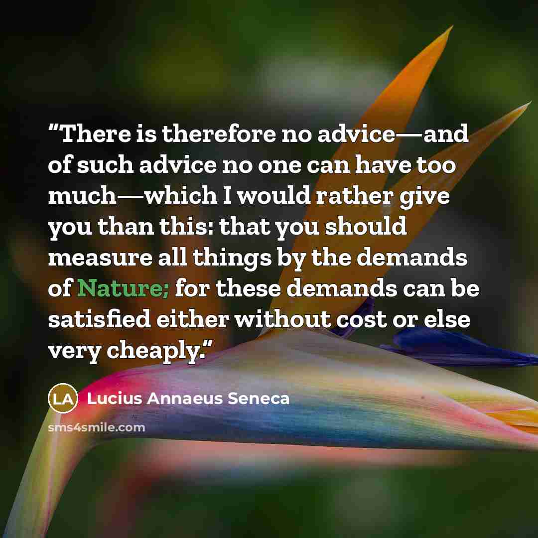 “There is therefore no advice—and of such advice no one can have too much—which I would rather give you than this: that you should measure all things by the demands of Nature; for these demands can be satisfied either without cost or else very cheaply.” quote by Lucius Annaeus Seneca