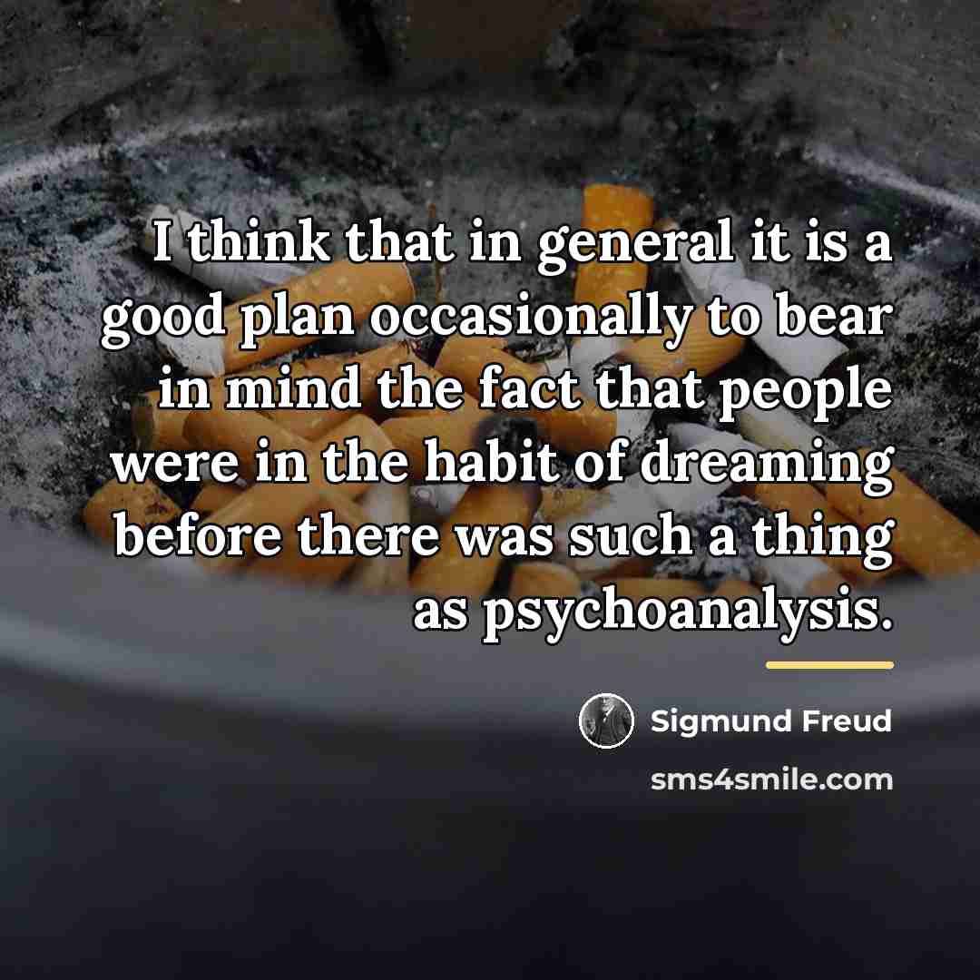 “I think that in general it is a good plan…” quote by Sigmund Freud