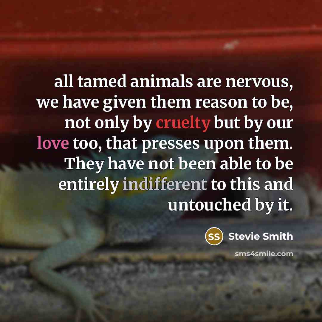“all tamed animals are nervous, we have given them reason…” quote by Stevie Smith