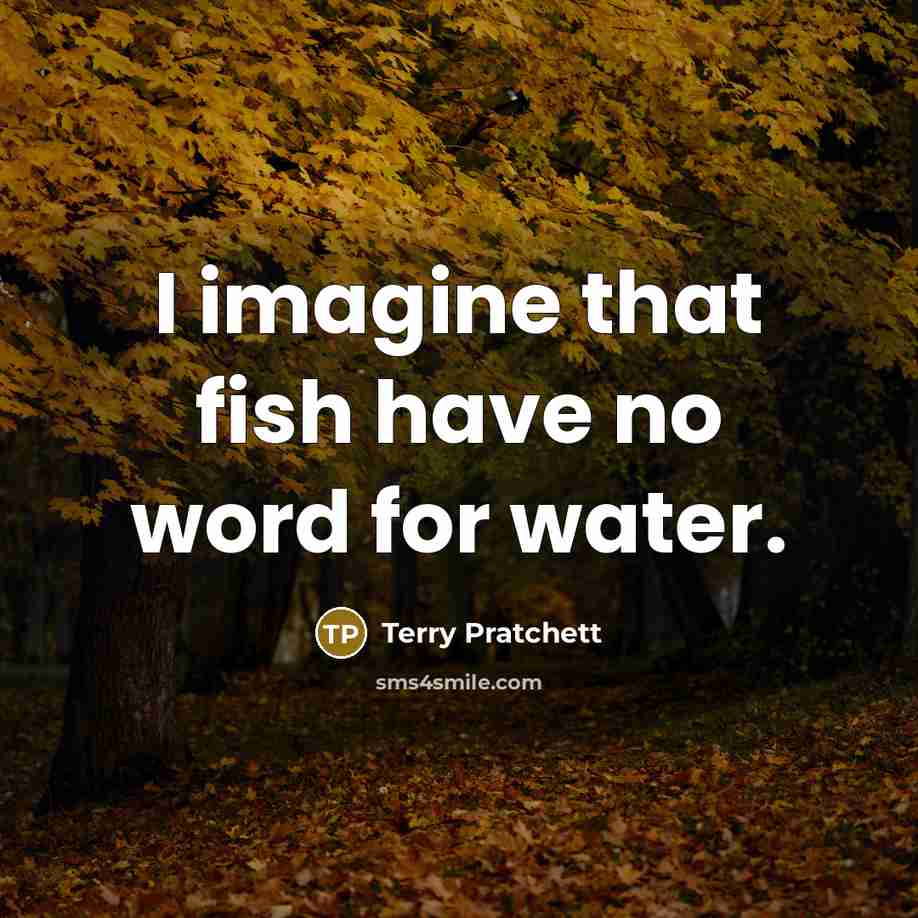 “I imagine that fish have no word for water.…” quote by Terry Pratchett