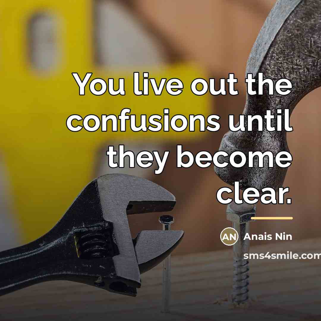 “You live out the confusions until they become clear.…” quote by Anais Nin