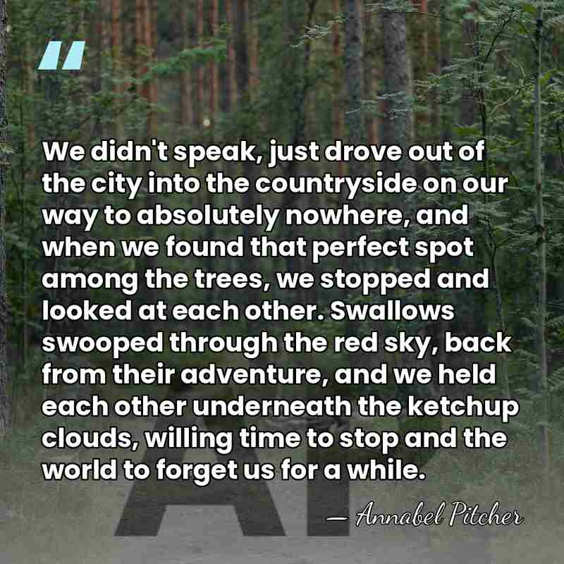 We didn't speak, just drove out of the city into the countryside&hellip; - Annabel Pitcher