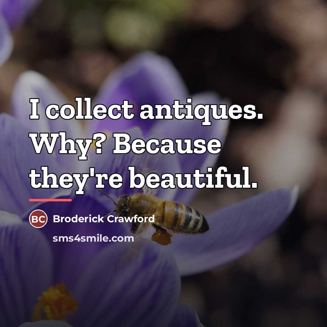 “I collect antiques. Why? Because they're beautiful.…” quote by Broderick Crawford