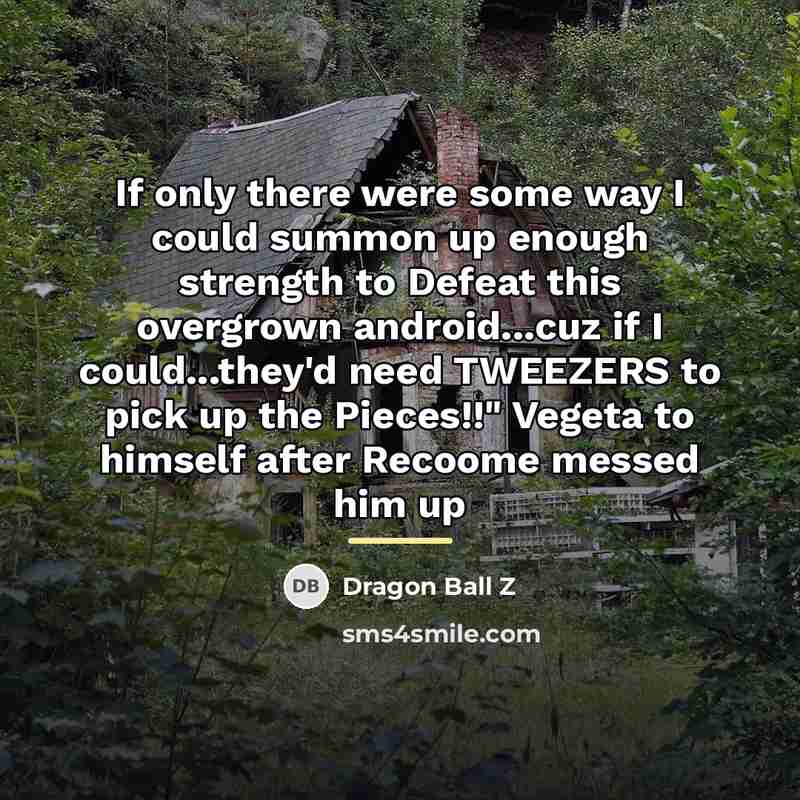 “If only there were some way I could summon up…” quote by Dragon Ball Z