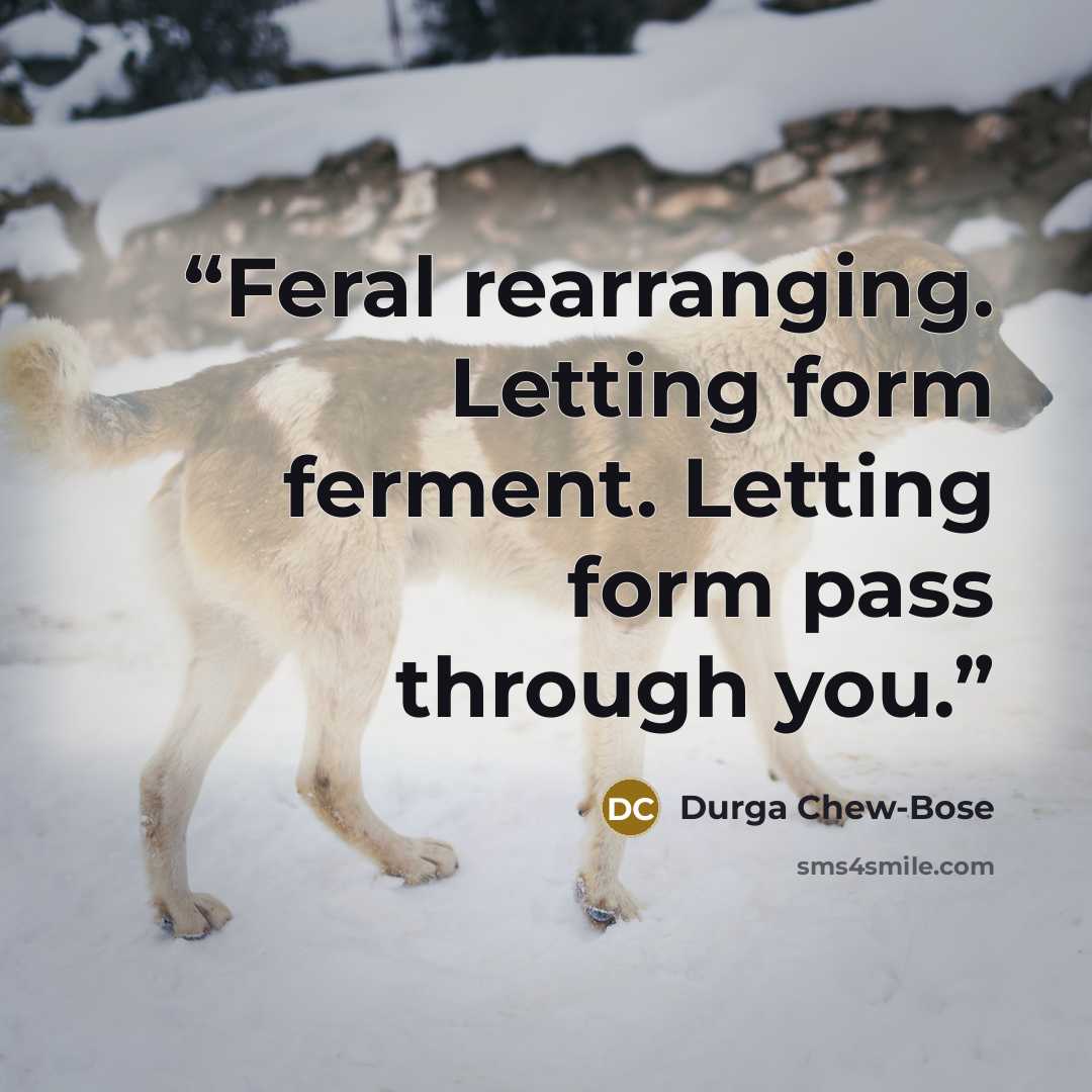 “Feral rearranging. Letting form ferment. Letting form pass through you.” quote by Durga Chew-Bose