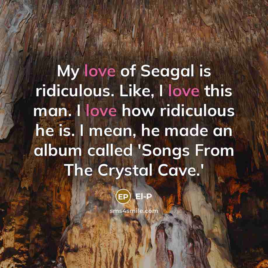 “My love of Seagal is ridiculous. Like, I love this…” quote by El-P