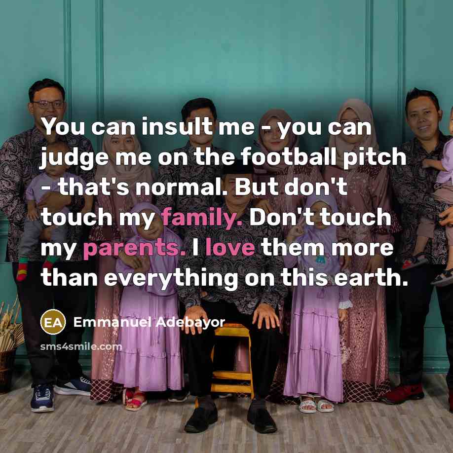 “You can insult me - you can judge me on…” quote by Emmanuel Adebayor