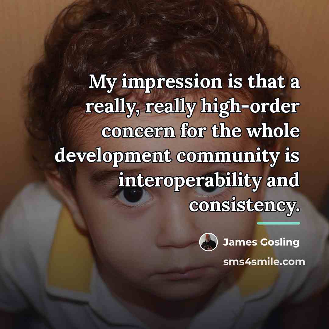“My impression is that a really, really high-order concern for…” quote by James Gosling