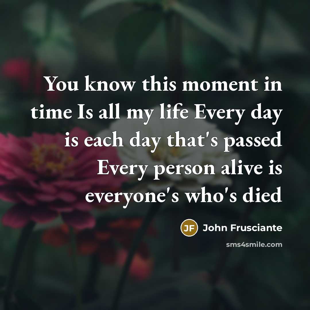 “You know this moment in time Is all my life…” quote by John Frusciante